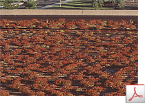 Roof Systems Vegetated Materials